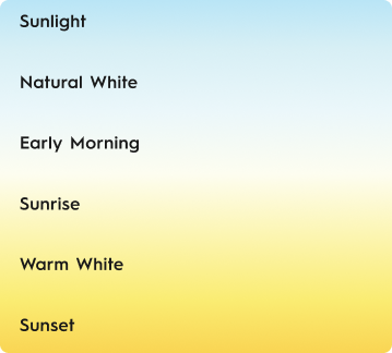Temperature Picker List